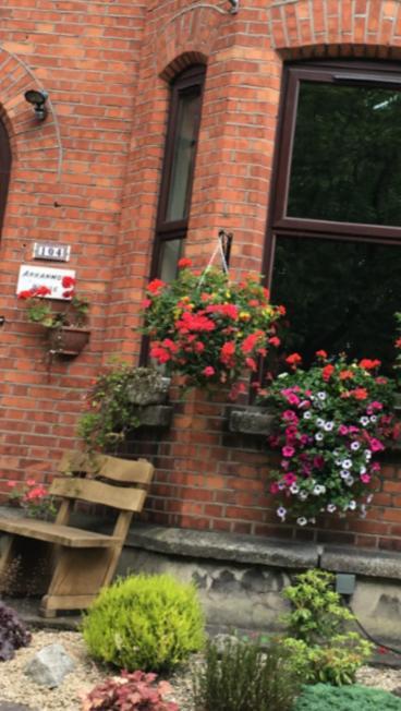 Arranmore House Bed & Breakfast Dublin Ngoại thất bức ảnh